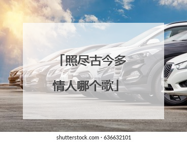 照尽古今多情人哪个歌