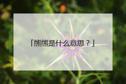 熊熊是什么意思?