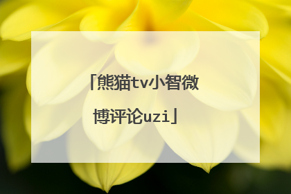 熊猫tv小智微博评论uzi
