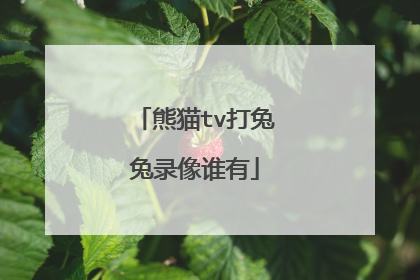熊猫tv打兔兔录像谁有