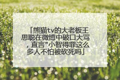 熊猫tv的大老板王思聪在微博中破口大骂,直言