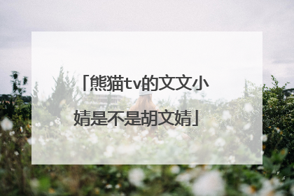 熊猫tv的文文小婧是不是胡文婧