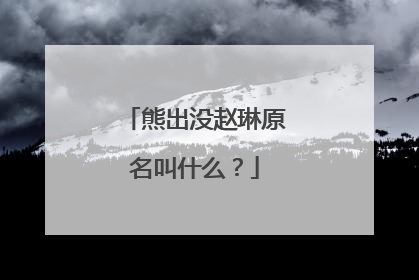 熊出没赵琳原名叫什么?