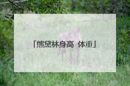 熊黛林身高 体重