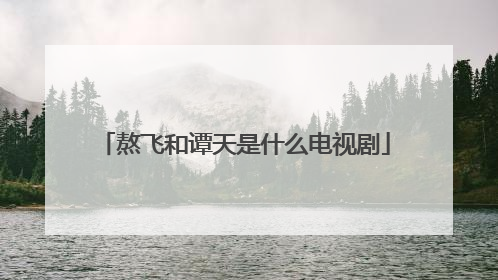 熬飞和谭天是什么电视剧