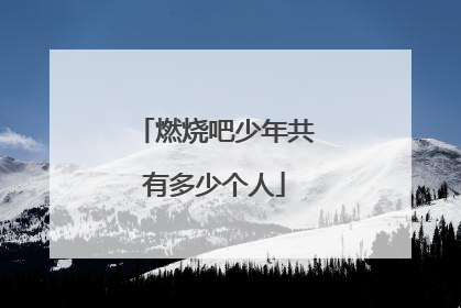 燃烧吧少年共有多少个人