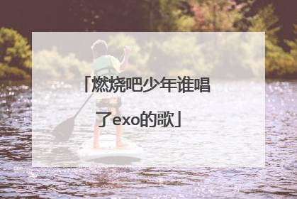 燃烧吧少年谁唱了exo的歌