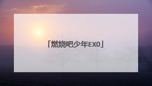燃烧吧少年EXO