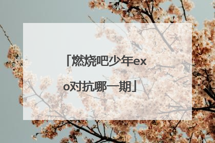 燃烧吧少年exo对抗哪一期
