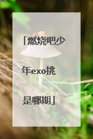 燃烧吧少年exo挑是哪期