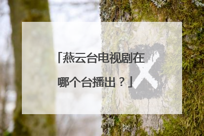 燕云台电视剧在哪个台播出?