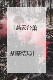 燕云台萧胡辇结局