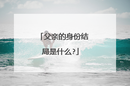 父亲的身份结局是什么?