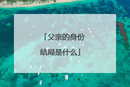 父亲的身份结局是什么