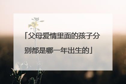 父母爱情里面的孩子分别都是哪一年出生的