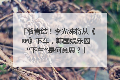 爷青结!李光洙将从《RM》下车,韩国娱乐圈“下车”是何意思?