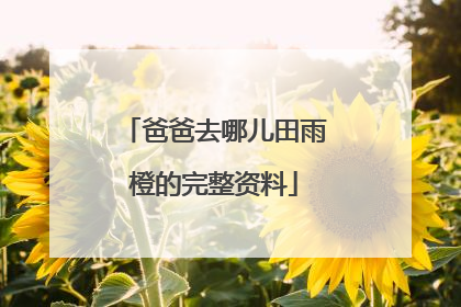 爸爸去哪儿田雨橙的完整资料