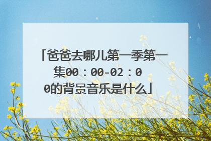 爸爸去哪儿第一季第一集00：00-02：00的背景音乐是什么