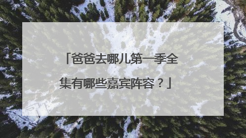 爸爸去哪儿第一季全集有哪些嘉宾阵容？