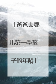 爸爸去哪儿第一季孩子的年龄