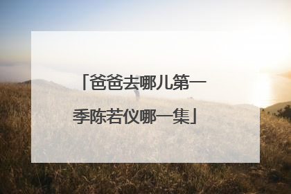 爸爸去哪儿第一季陈若仪哪一集