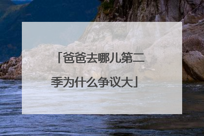 爸爸去哪儿第二季为什么争议大
