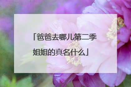 爸爸去哪儿第二季姐姐的真名什么