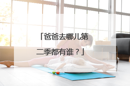 爸爸去哪儿第二季都有谁?