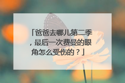爸爸去哪儿第二季，最后一次费曼的眼角怎么受伤的？