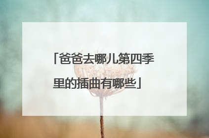 爸爸去哪儿第四季里的插曲有哪些