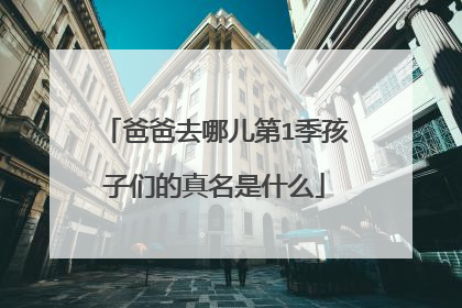 爸爸去哪儿第1季孩子们的真名是什么