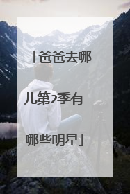 爸爸去哪儿第2季有哪些明星