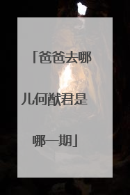 爸爸去哪儿何猷君是哪一期