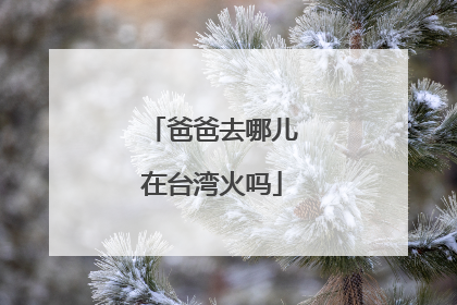 爸爸去哪儿在台湾火吗