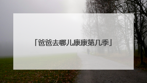 爸爸去哪儿康康第几季