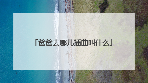 爸爸去哪儿插曲叫什么