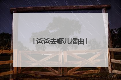 爸爸去哪儿插曲