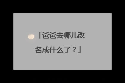 爸爸去哪儿改名成什么了？
