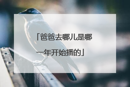 爸爸去哪儿是哪一年开始播的