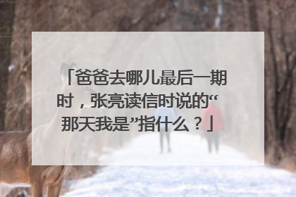 爸爸去哪儿最后一期时,张亮读信时说的“那天我是”指什么?