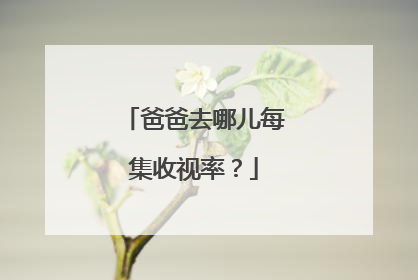 爸爸去哪儿每集收视率?