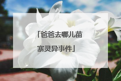 爸爸去哪儿苗寨灵异事件