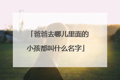 爸爸去哪儿里面的小孩都叫什么名字