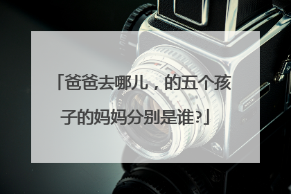 爸爸去哪儿，的五个孩子的妈妈分别是谁?