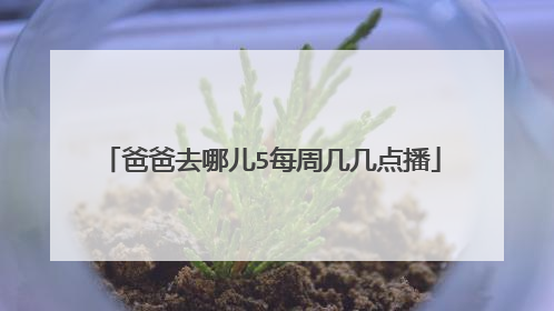 爸爸去哪儿5每周几几点播