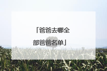 爸爸去哪全部爸爸名单