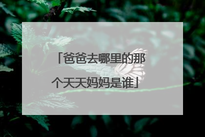 爸爸去哪里的那个天天妈妈是谁