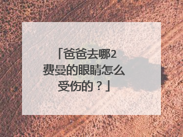 爸爸去哪2 费曼的眼睛怎么受伤的？