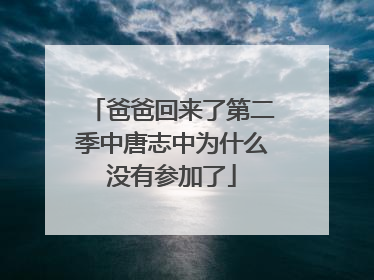 爸爸回来了第二季中唐志中为什么没有参加了