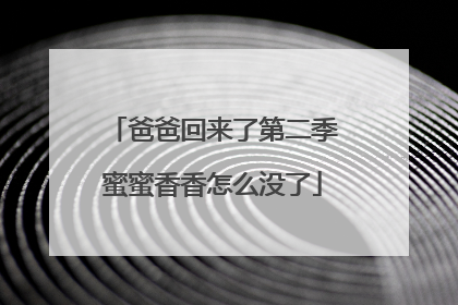 爸爸回来了第二季蜜蜜香香怎么没了